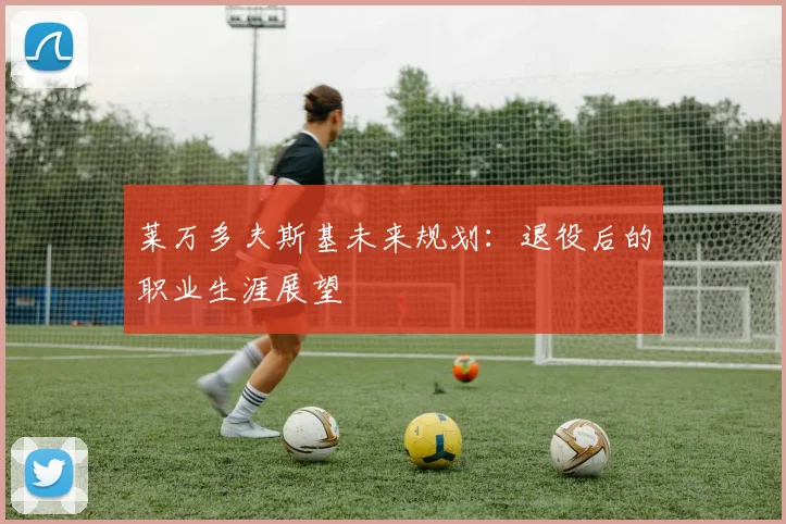 莱万多夫斯基未来规划：退役后的职业生涯展望